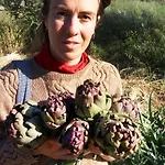 Aperanti Agrotourism Bed & Breakfast Pera Orinis
