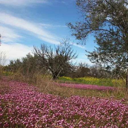 Aperanti Agrotourism Bed & Breakfast Pera Orinis