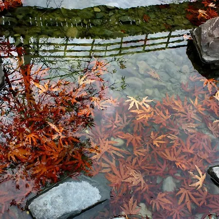 Bed & Breakfast Aperanti Agrotourism