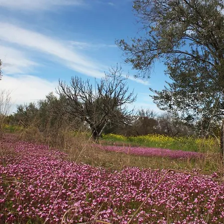 Aperanti Agrotourism Bed & Breakfast Pera Orinis