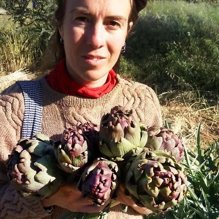 Aperanti Agrotourism Отель типа 