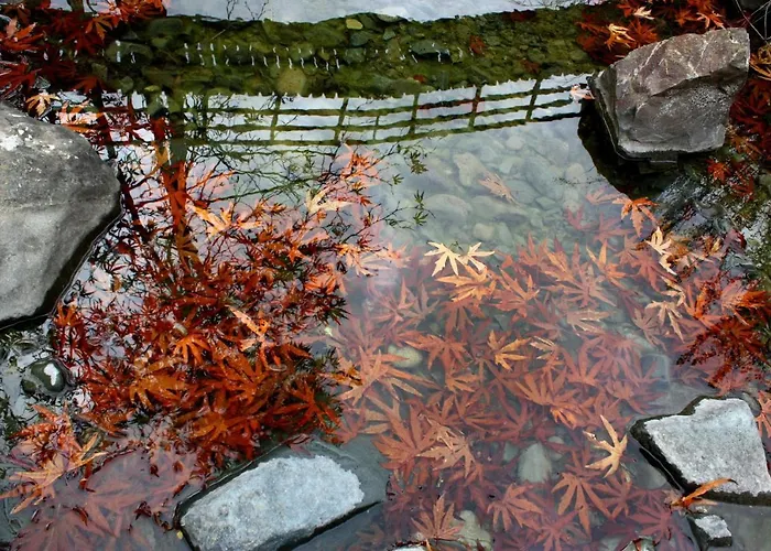 Nocleg ze śniadaniem Aperanti Agrotourism
