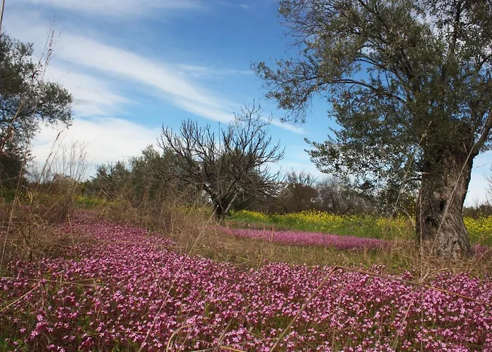 Aperanti Agrotourism Nocleg ze śniadaniem Pera Orinis